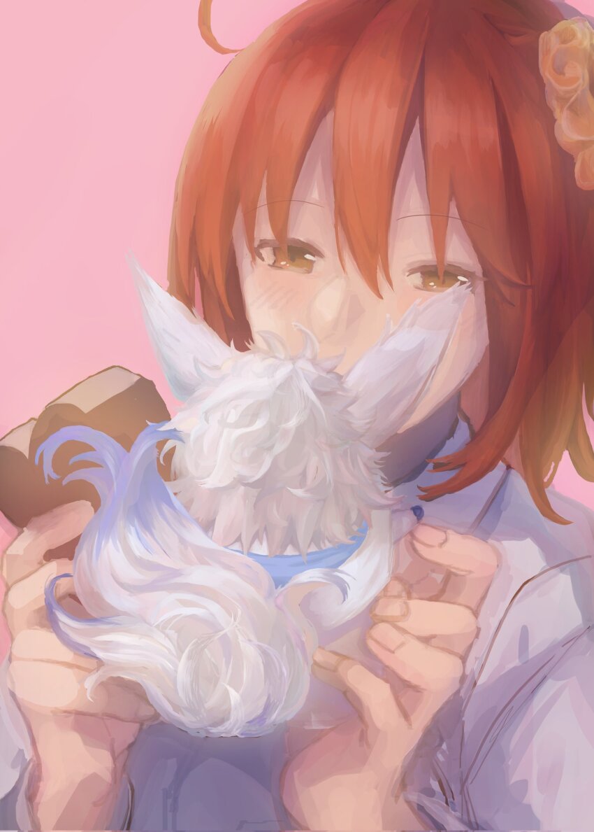 Fou (Fate) Rule 34 Image