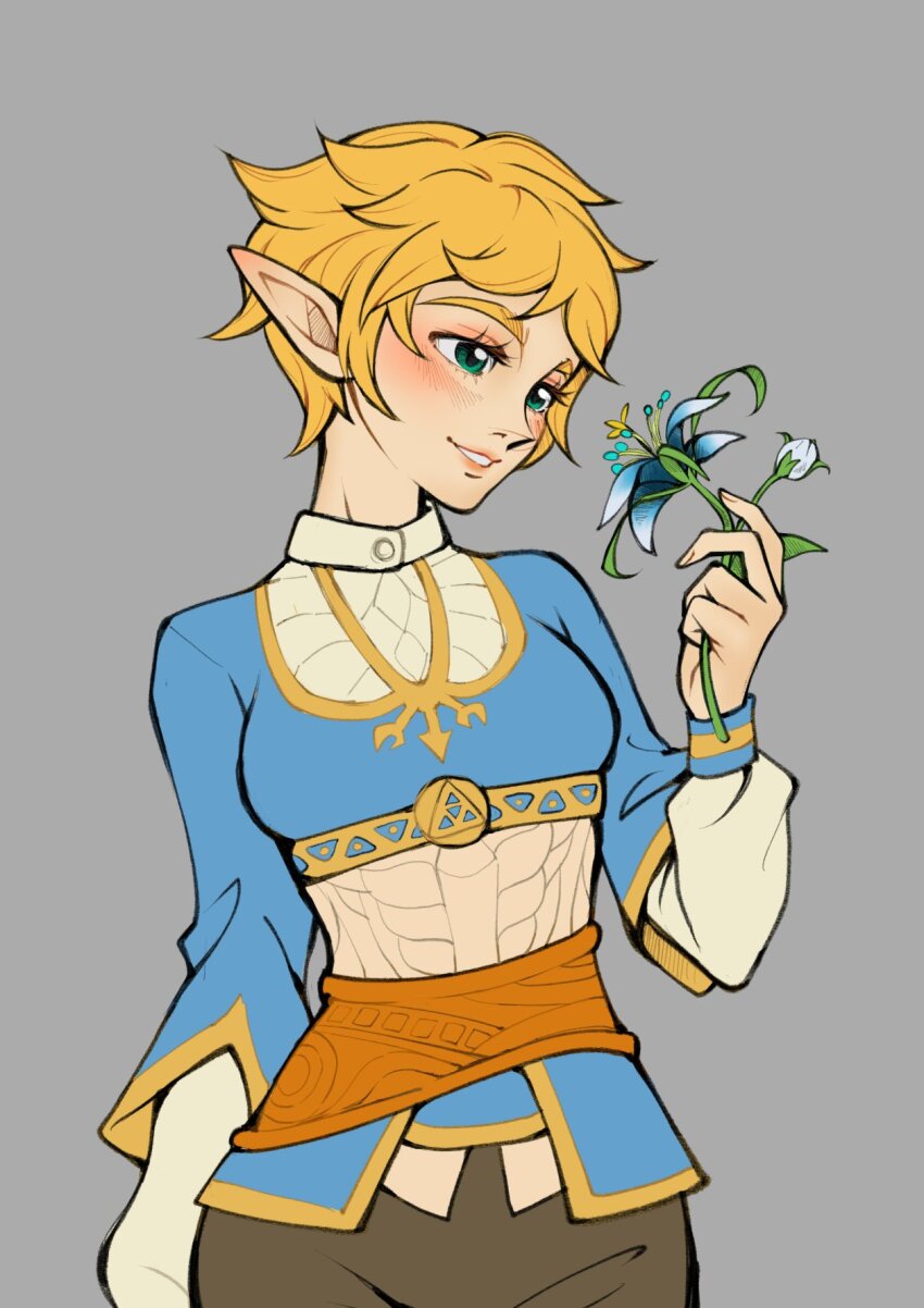 Princess Zelda (Nintendo) Rule 34 Image