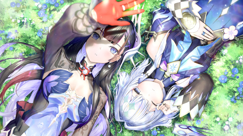 Cerydra (Honkai: Star Rail) Rule 34 Image