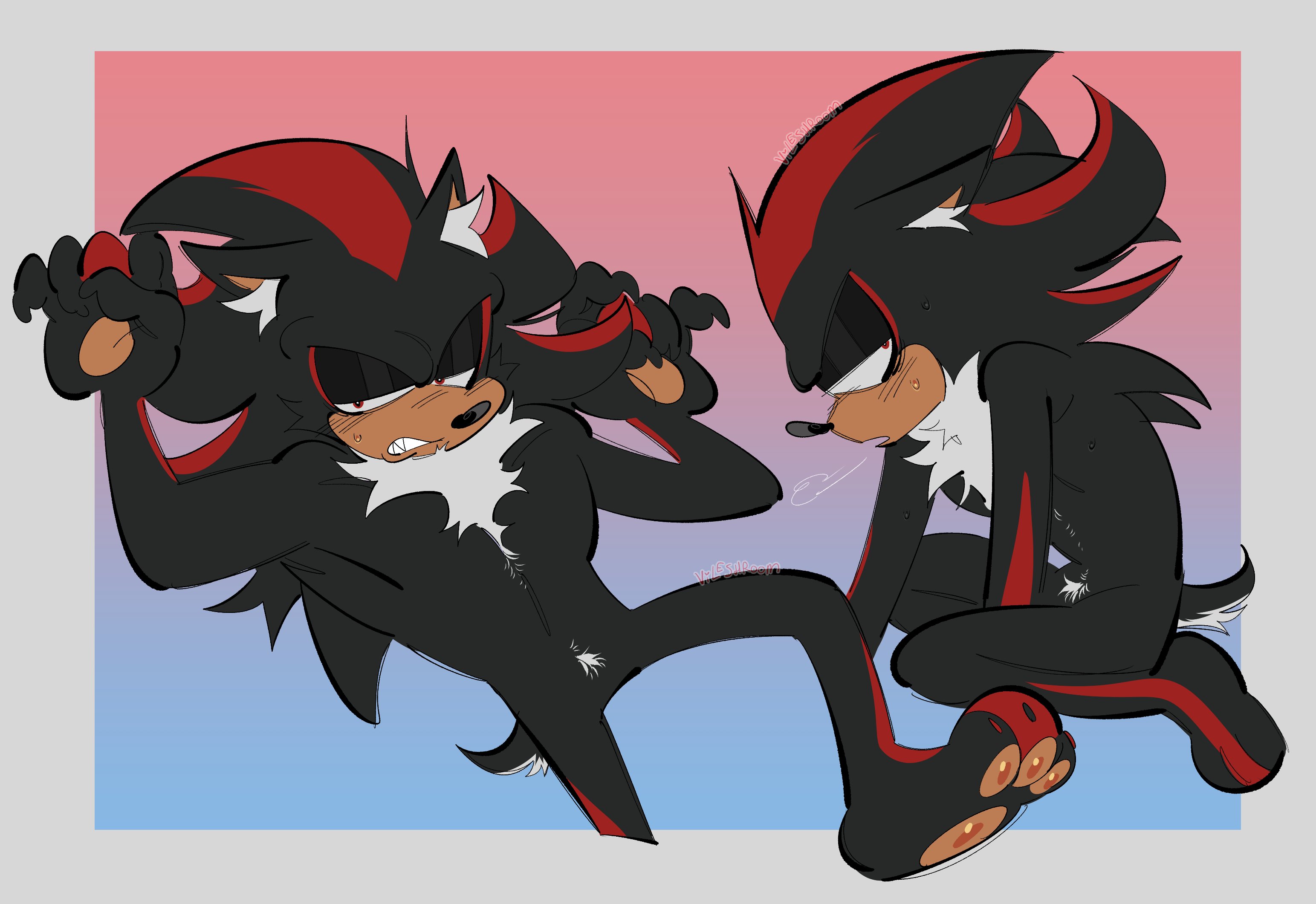 Shadow The Hedgehog (Sonic (Series)) Rule 34 Image