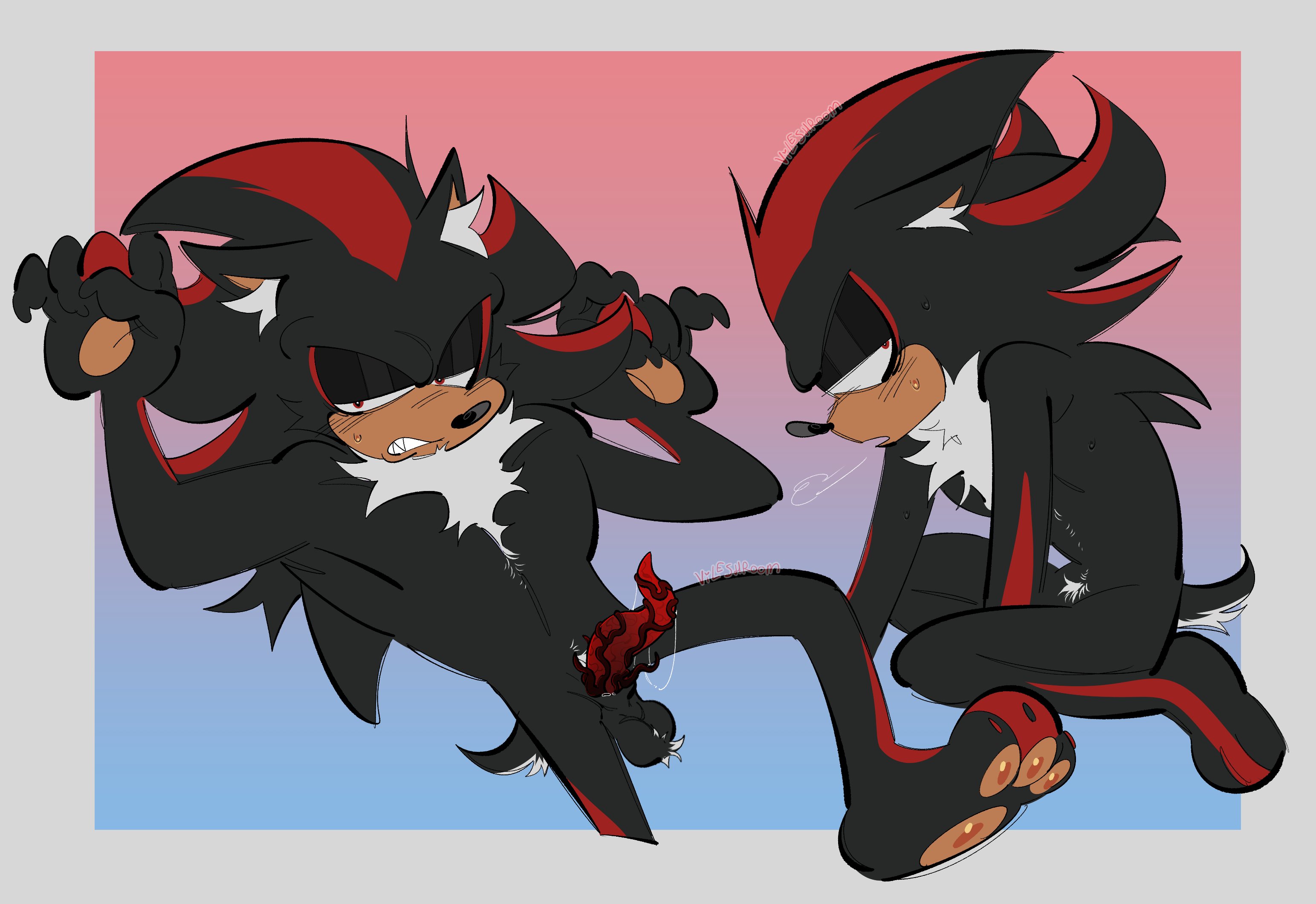 Shadow The Hedgehog (Sonic (Series)) Rule 34 Image