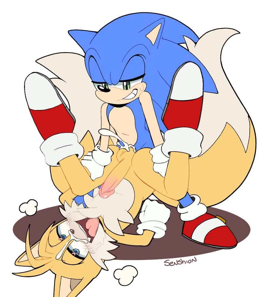 Miles Prower (Sega) Rule 34 Image