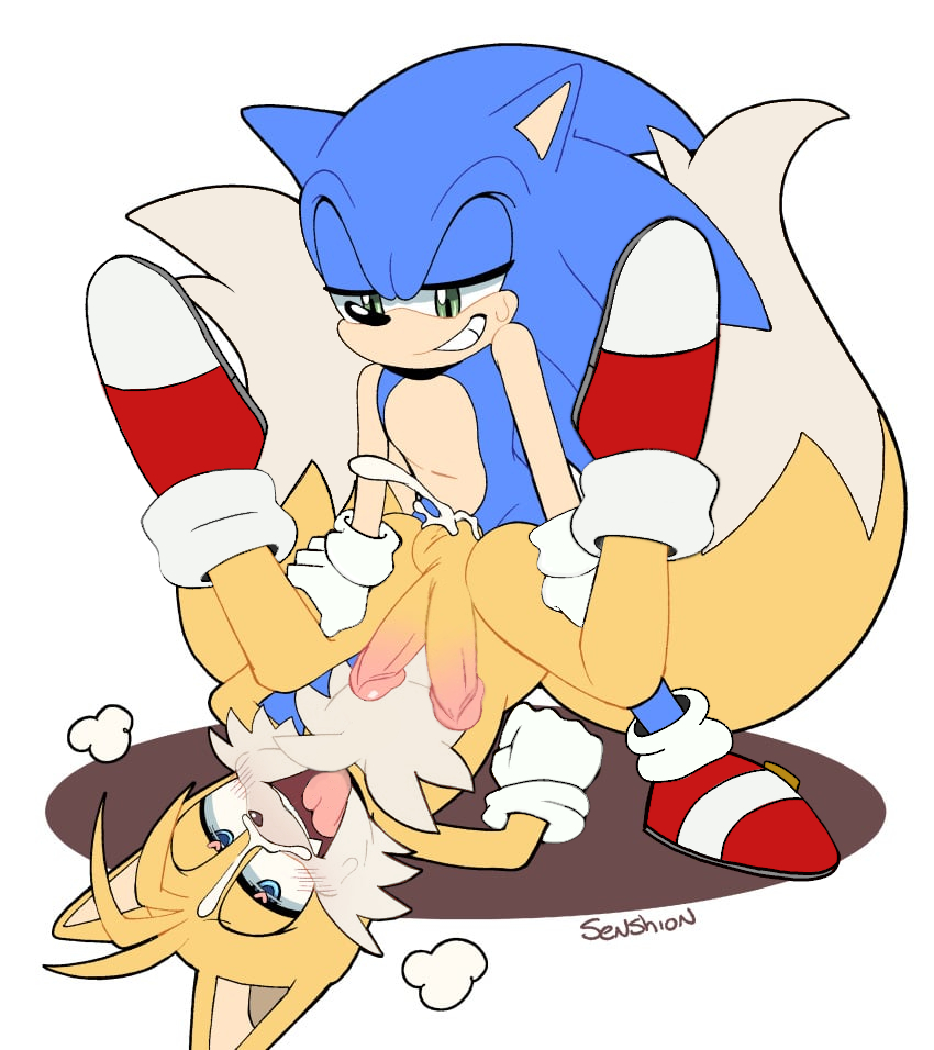 Sonic The Hedgehog (Sega) Rule 34 Image