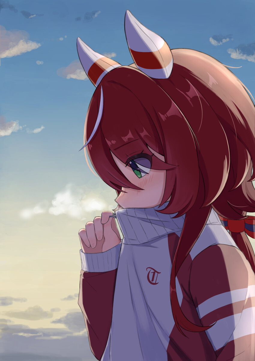 Win Variation (Umamusume) Rule 34 Image