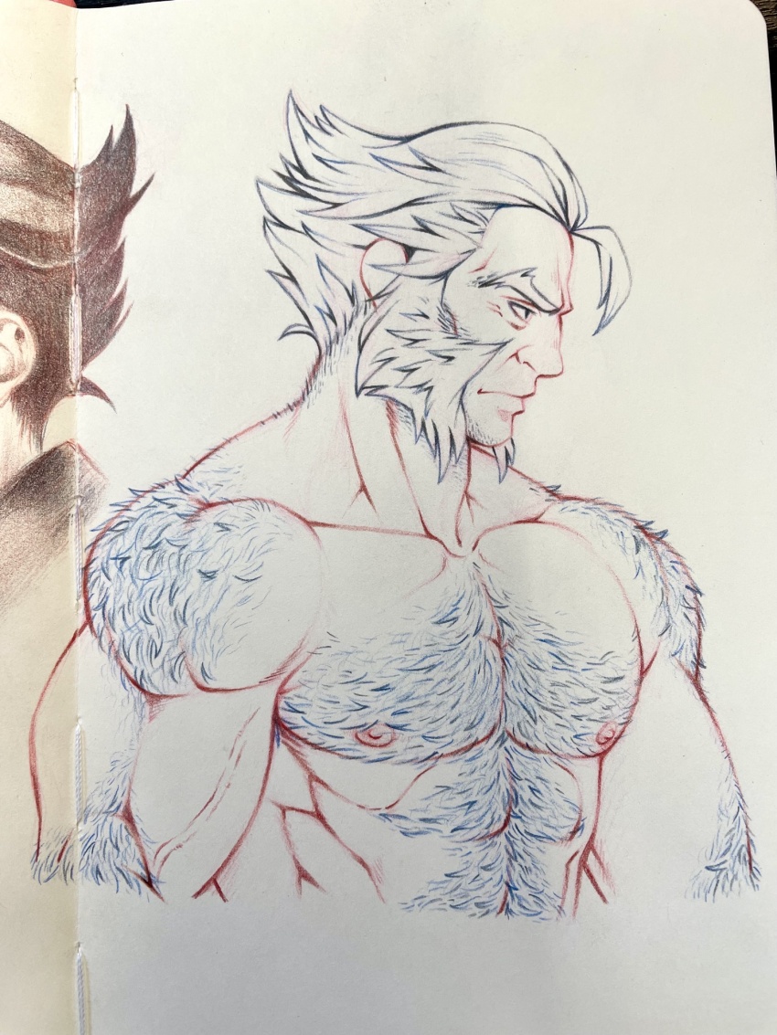 Wolverine (X-Men) Rule 34 Image