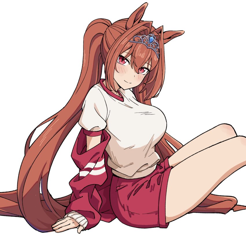 Daiwa Scarlet (Umamusume) Rule 34 Image