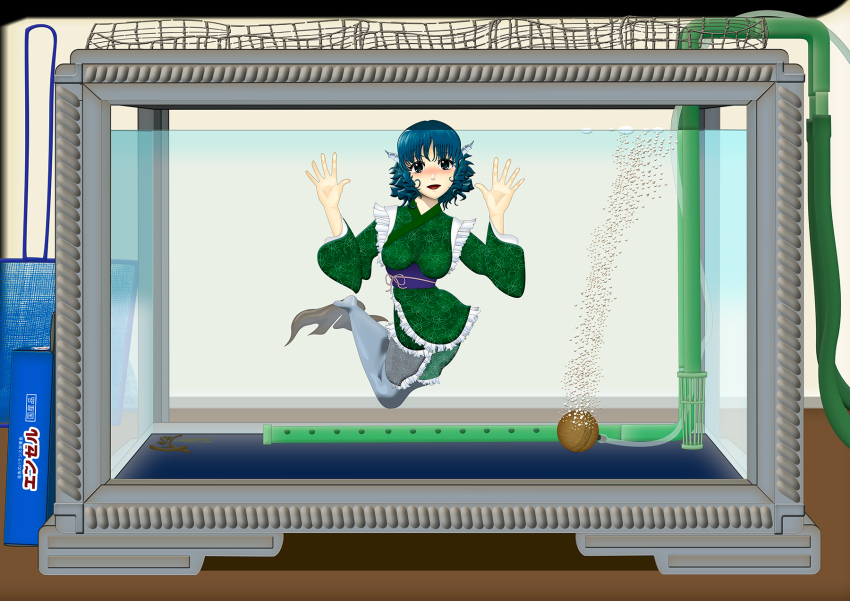 Wakasagihime (Touhou) Rule 34 Image
