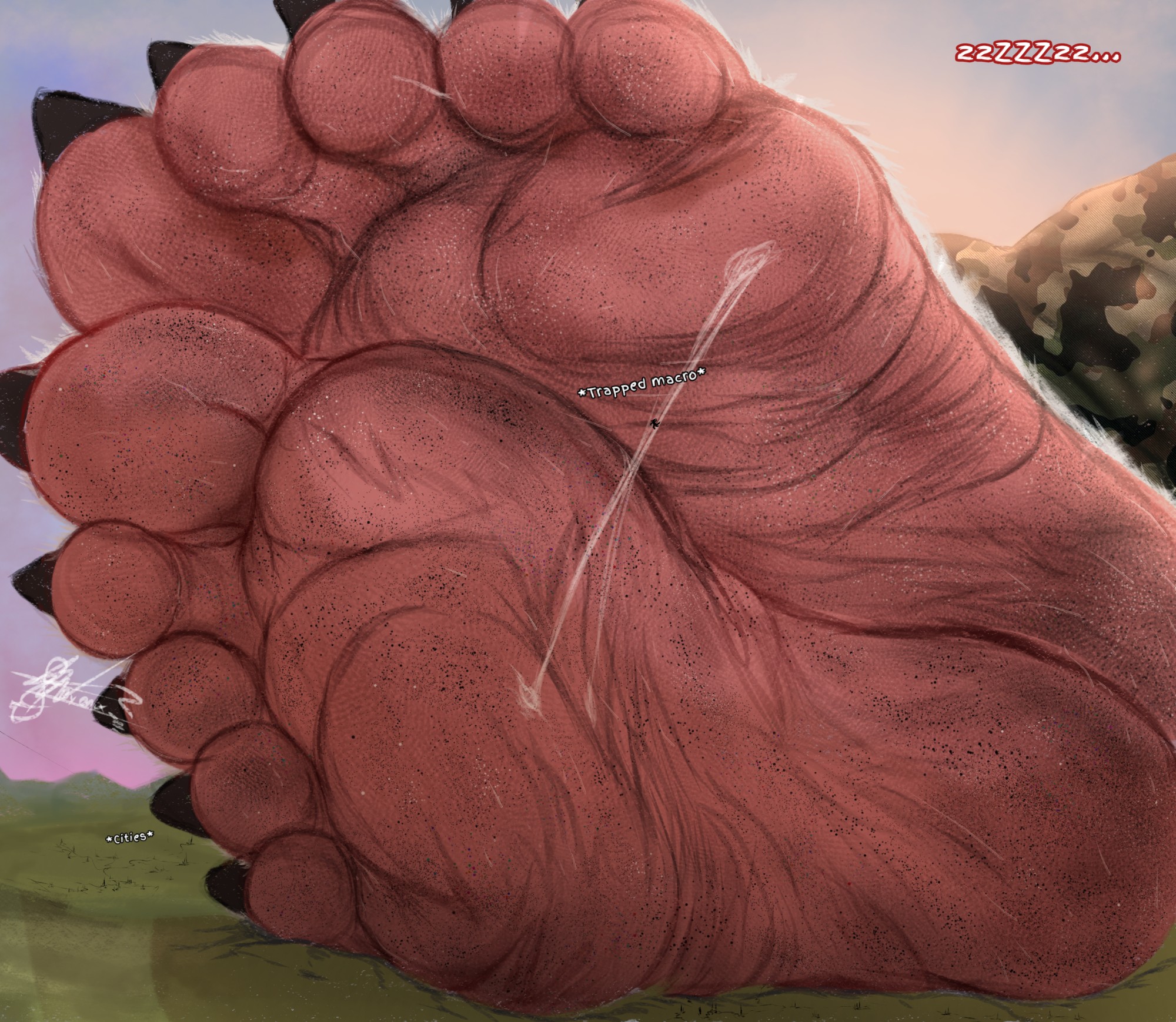 5 Toes Rule 34 Image