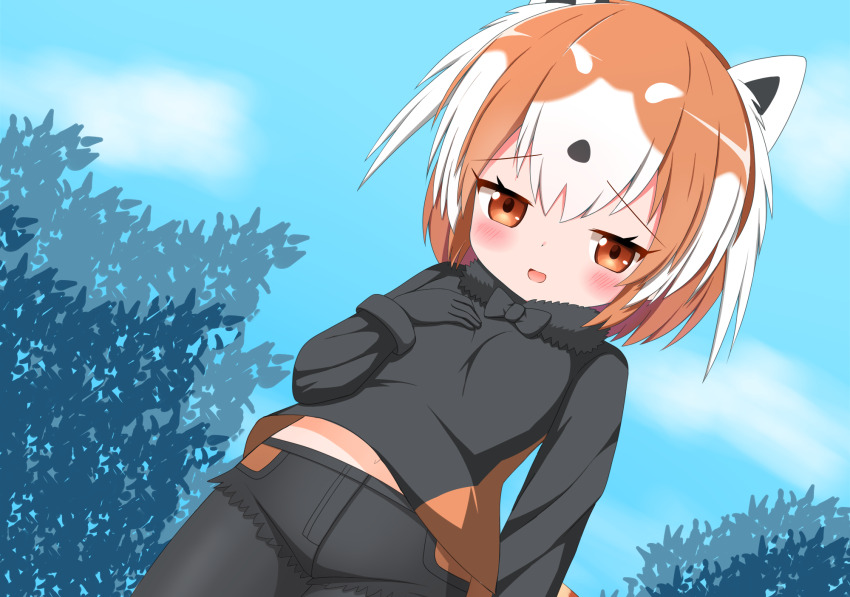 Kemono Friends Rule 34 Image