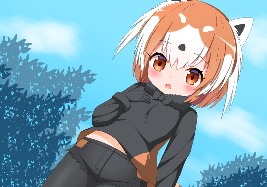 Kemono Friends Rule 34 Image