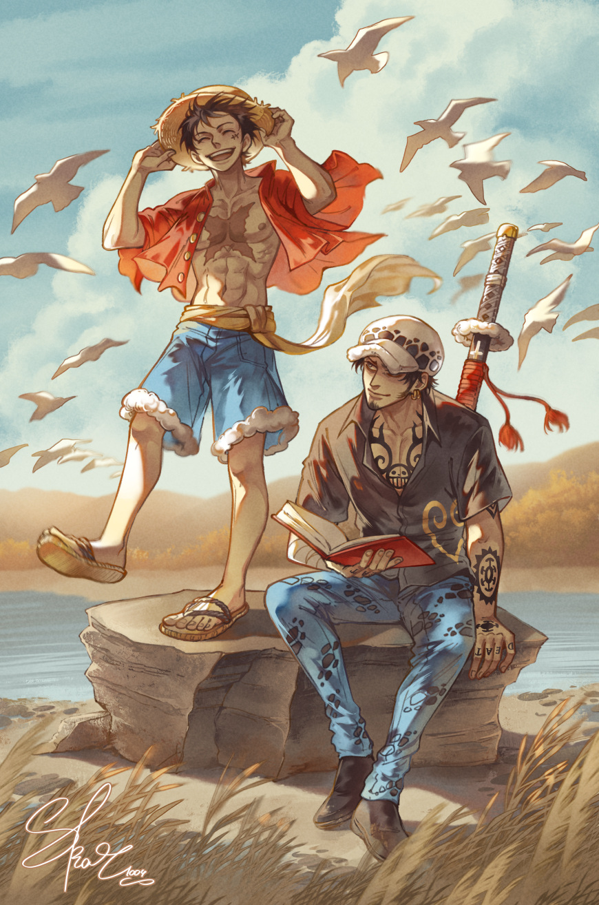Trafalgar Law (Monkey D. Luffy) Rule 34 Image