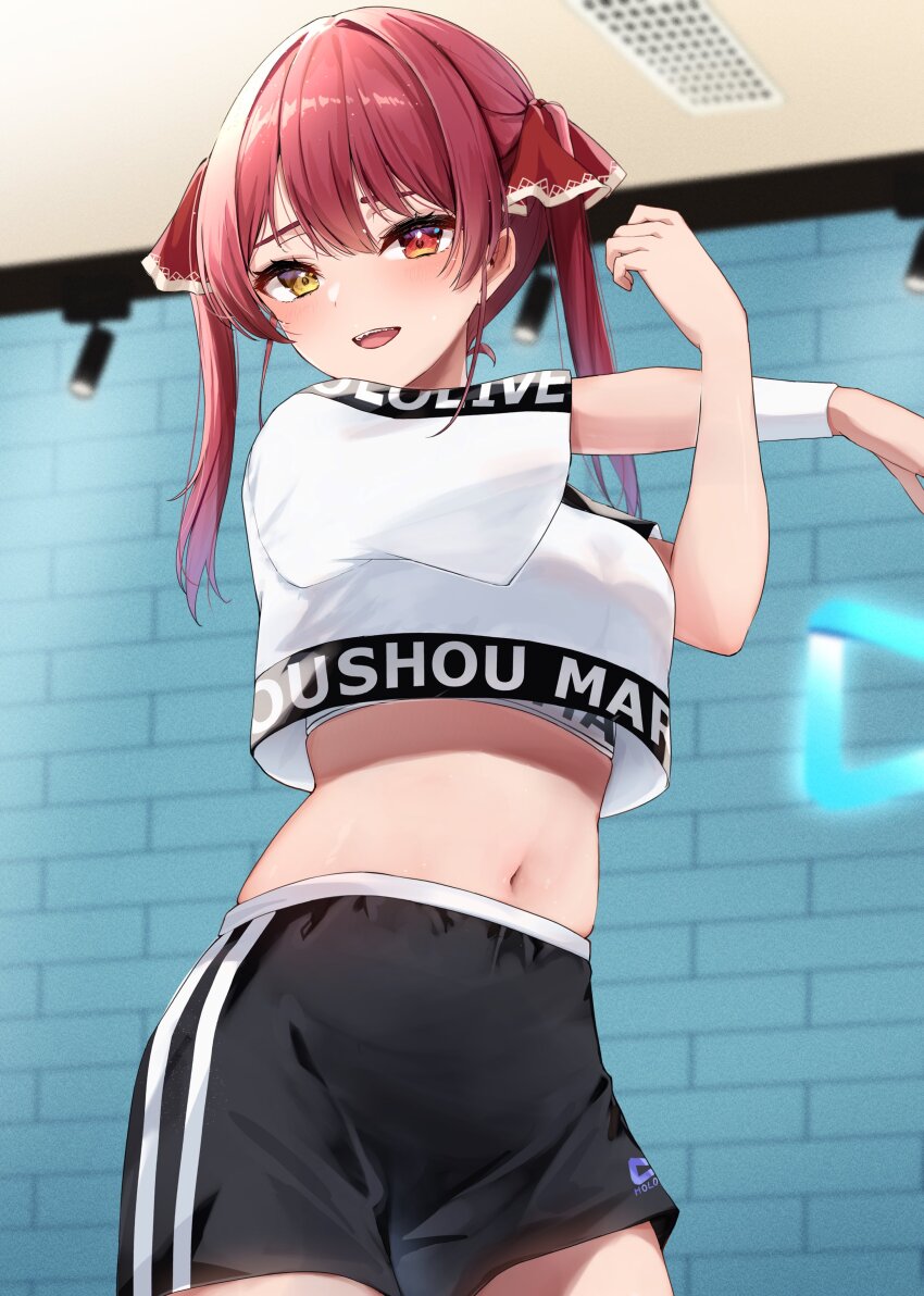Houshou Marine (Hololive) Rule 34 Image