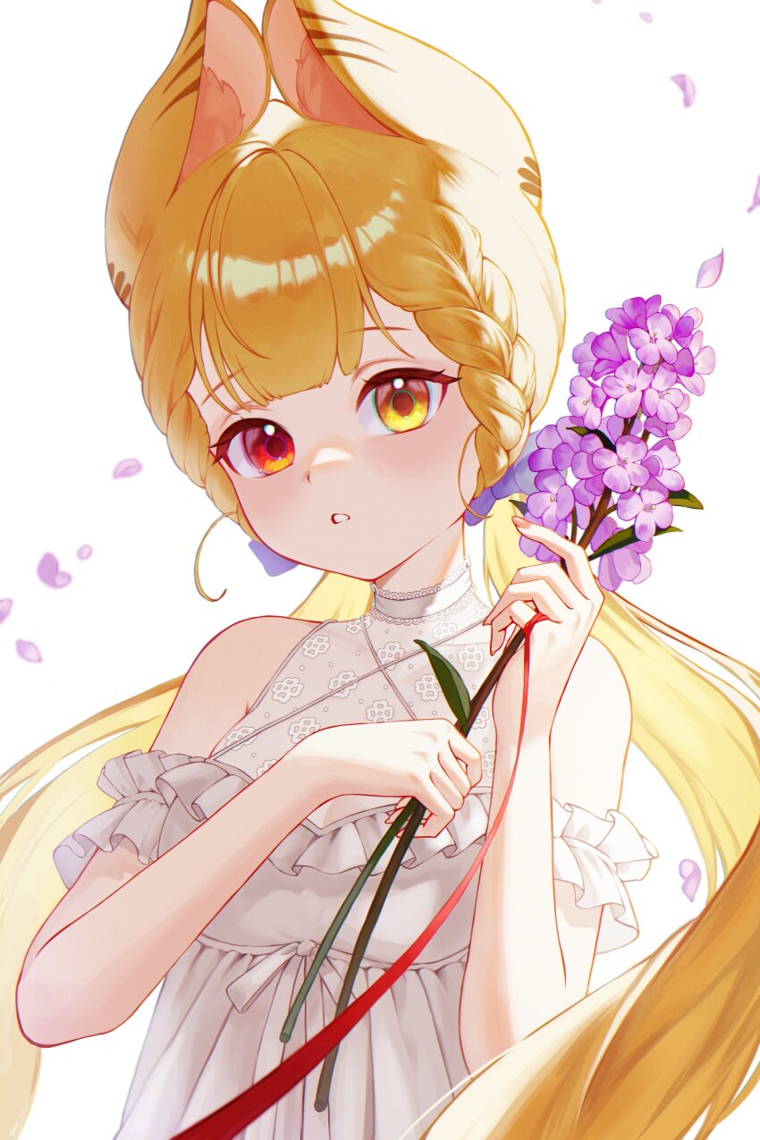 Alice Thymefield (Zenless Zone Zero) Rule 34 Image