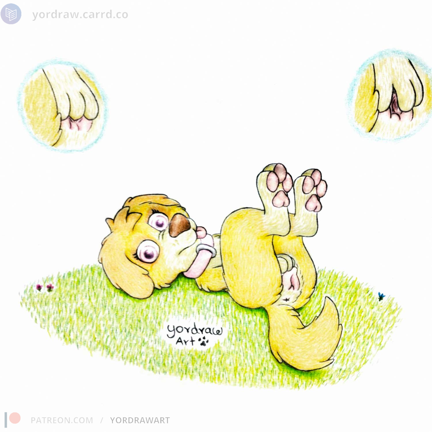 Skye (Paw Patrol) Rule 34 Image