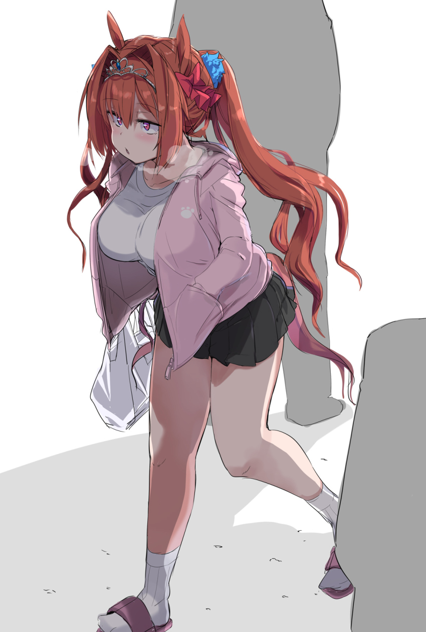 Daiwa Scarlet (Umamusume) Rule 34 Image