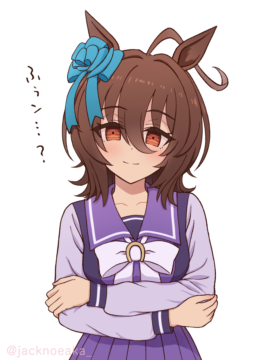 Agnes Tachyon (Umamusume) Rule 34 Image