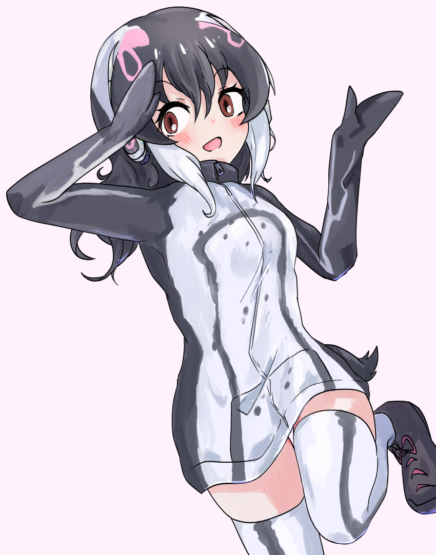 African Penguin (Kemono Friends) Rule 34 Image