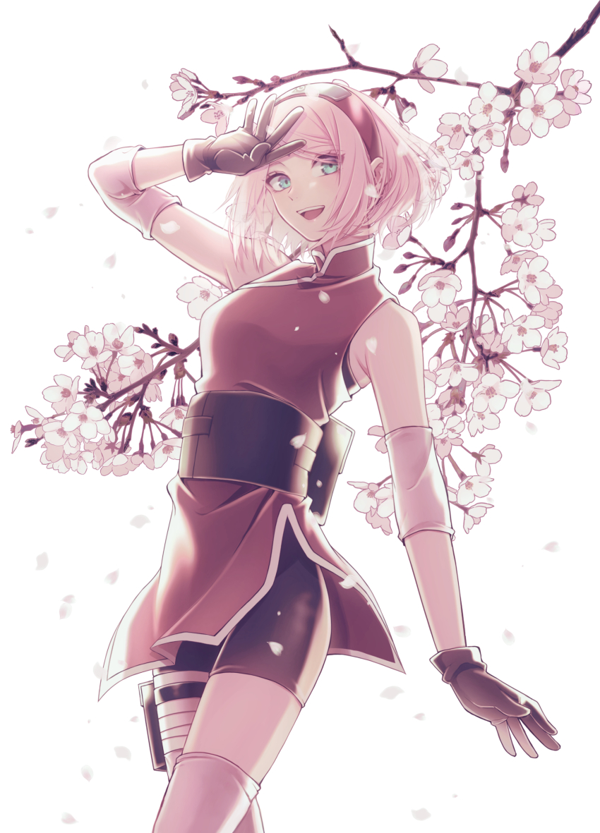 Haruno Sakura (Naruto: The Last) Rule 34 Image