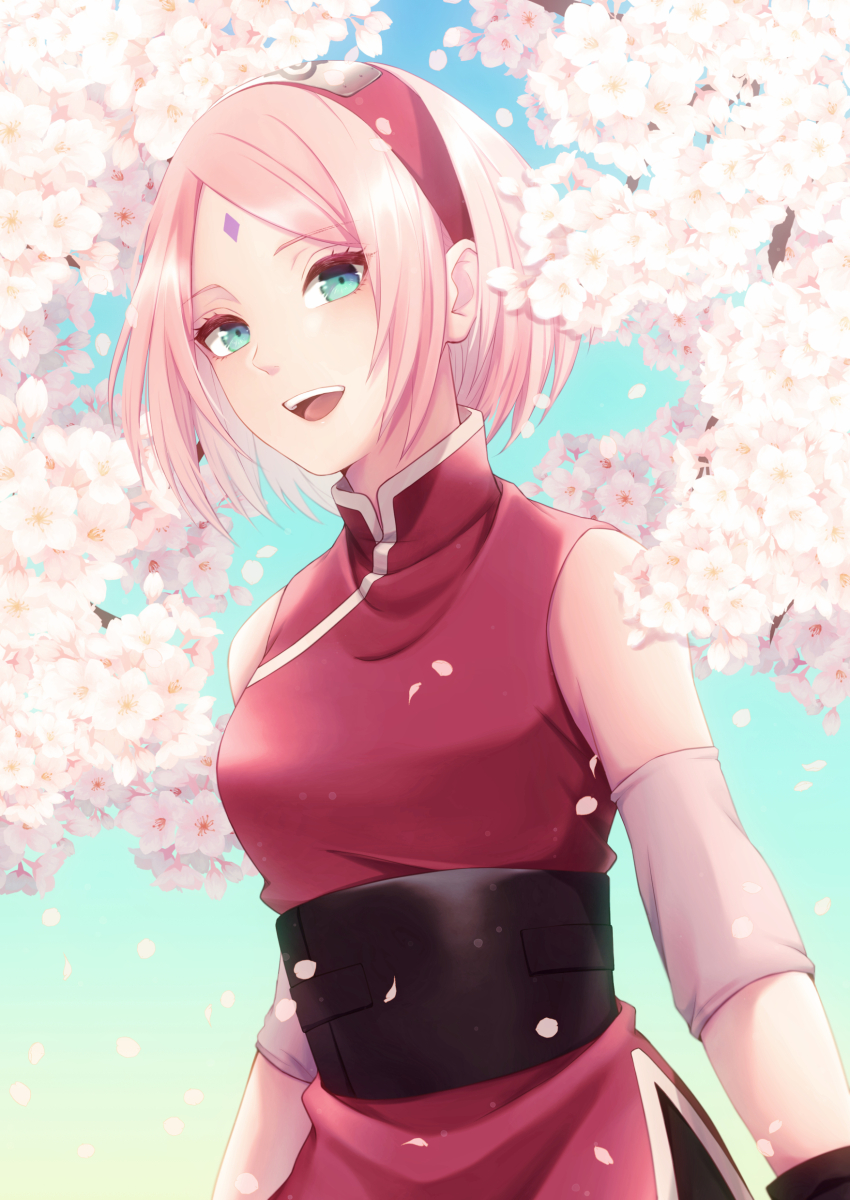 Haruno Sakura (Naruto: The Last) Rule 34 Image