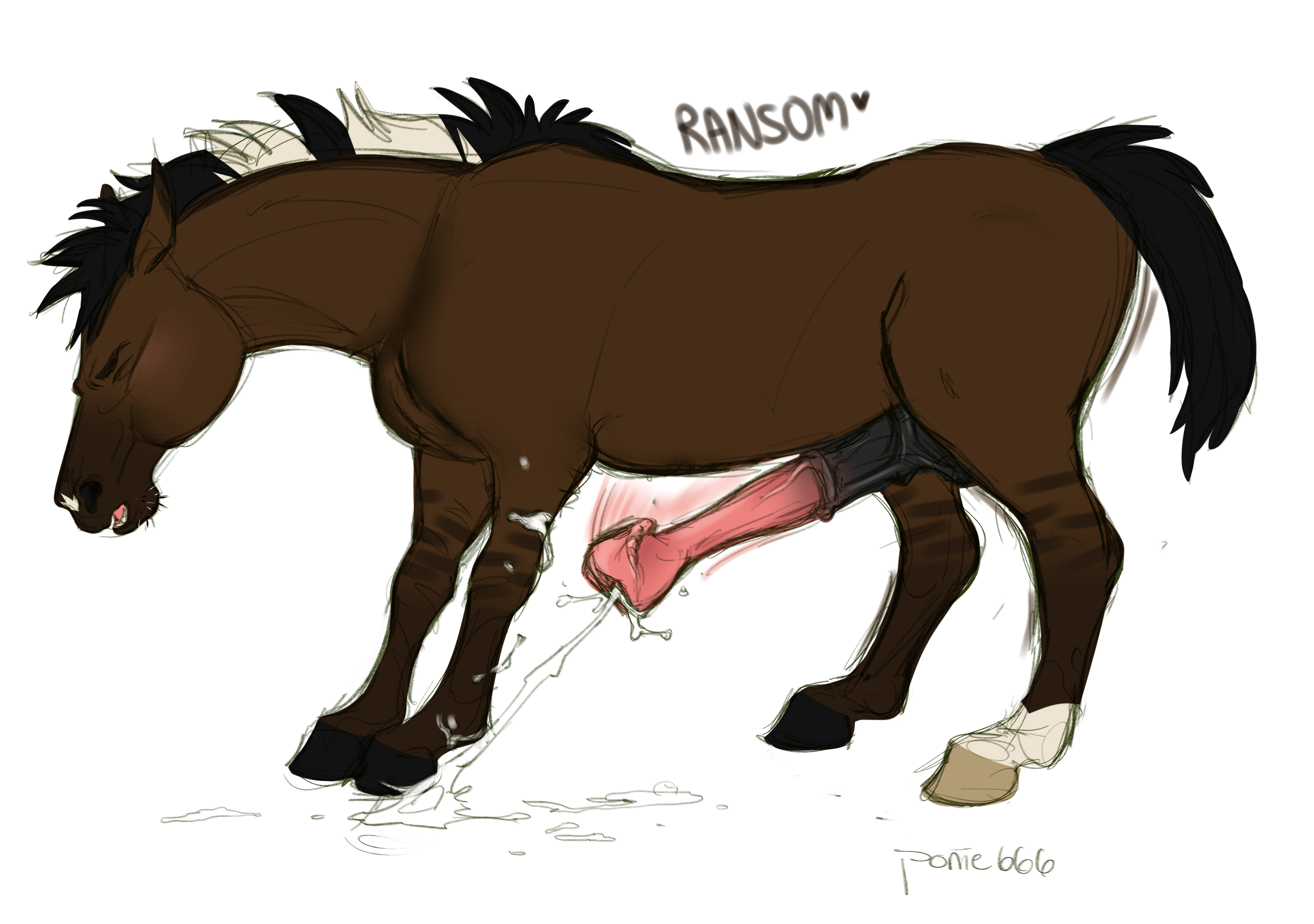 Animal Genitalia Rule 34 Image