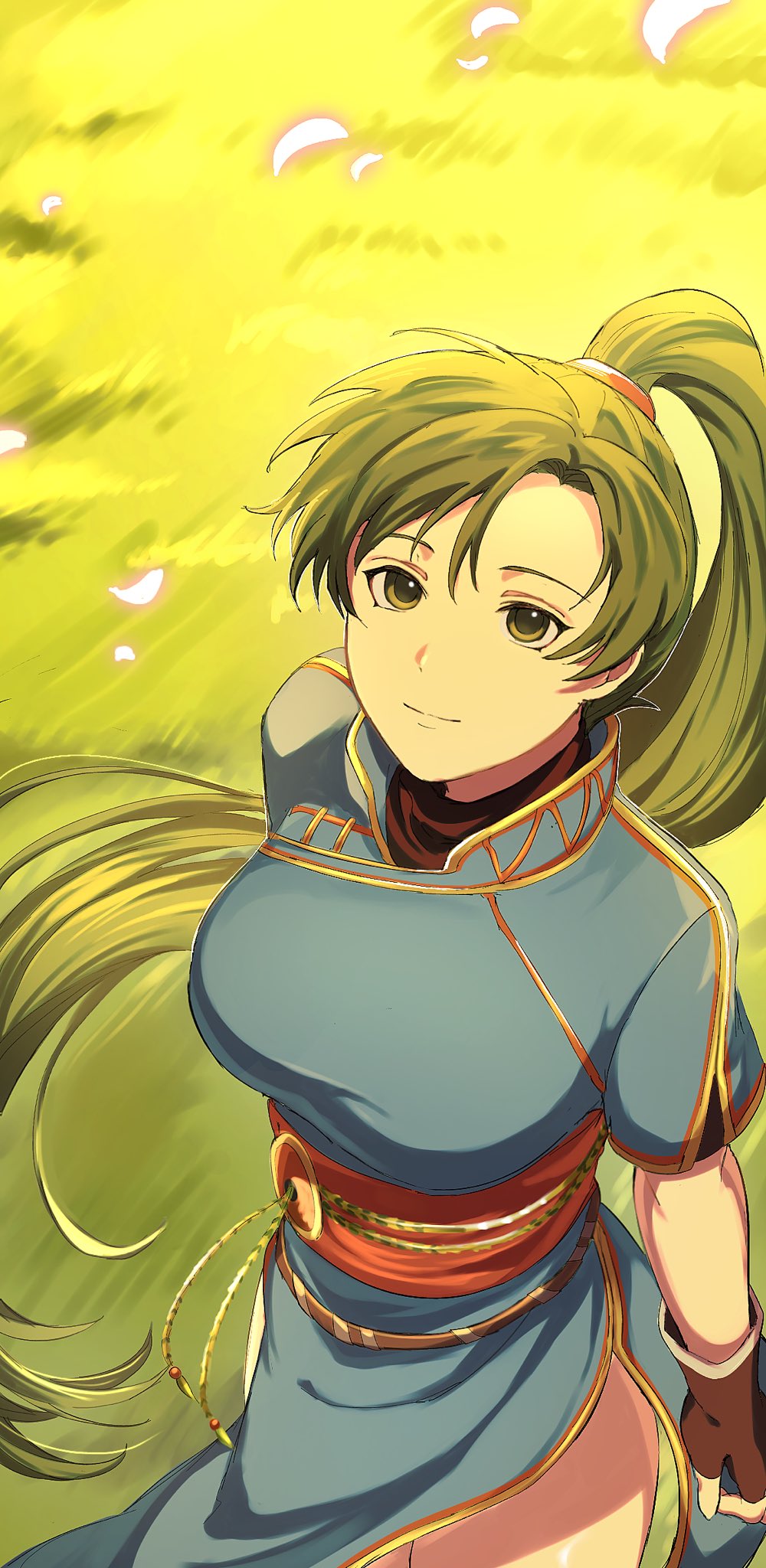 Lyn (Fire Emblem) Rule 34 Image