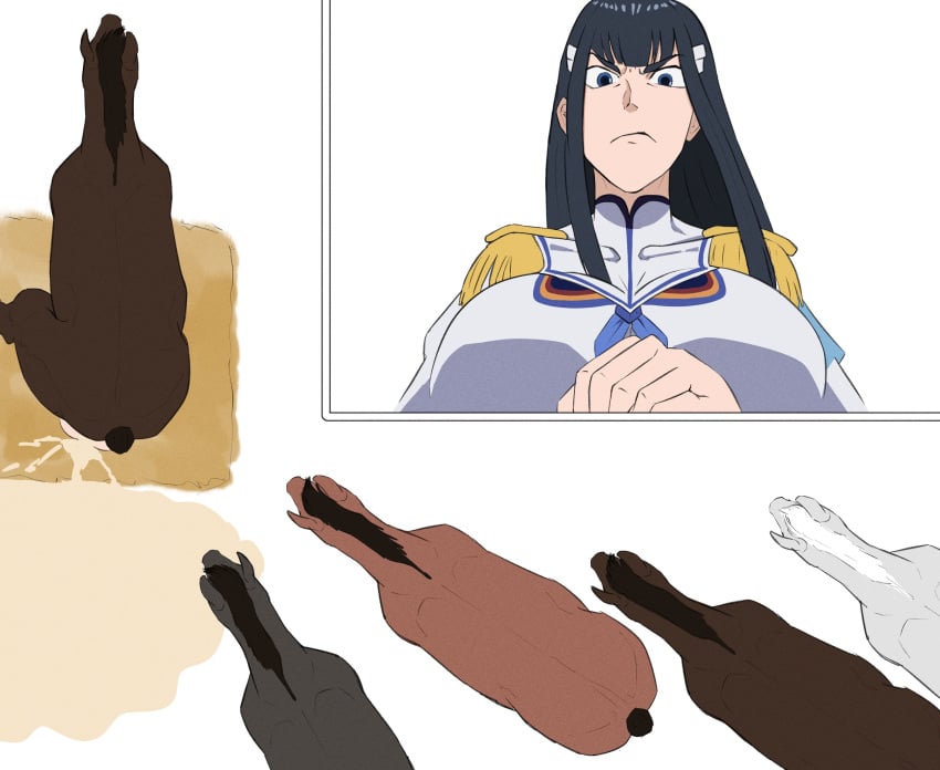 Kiryuuin Satsuki (Kill La Kill) Rule 34 Image