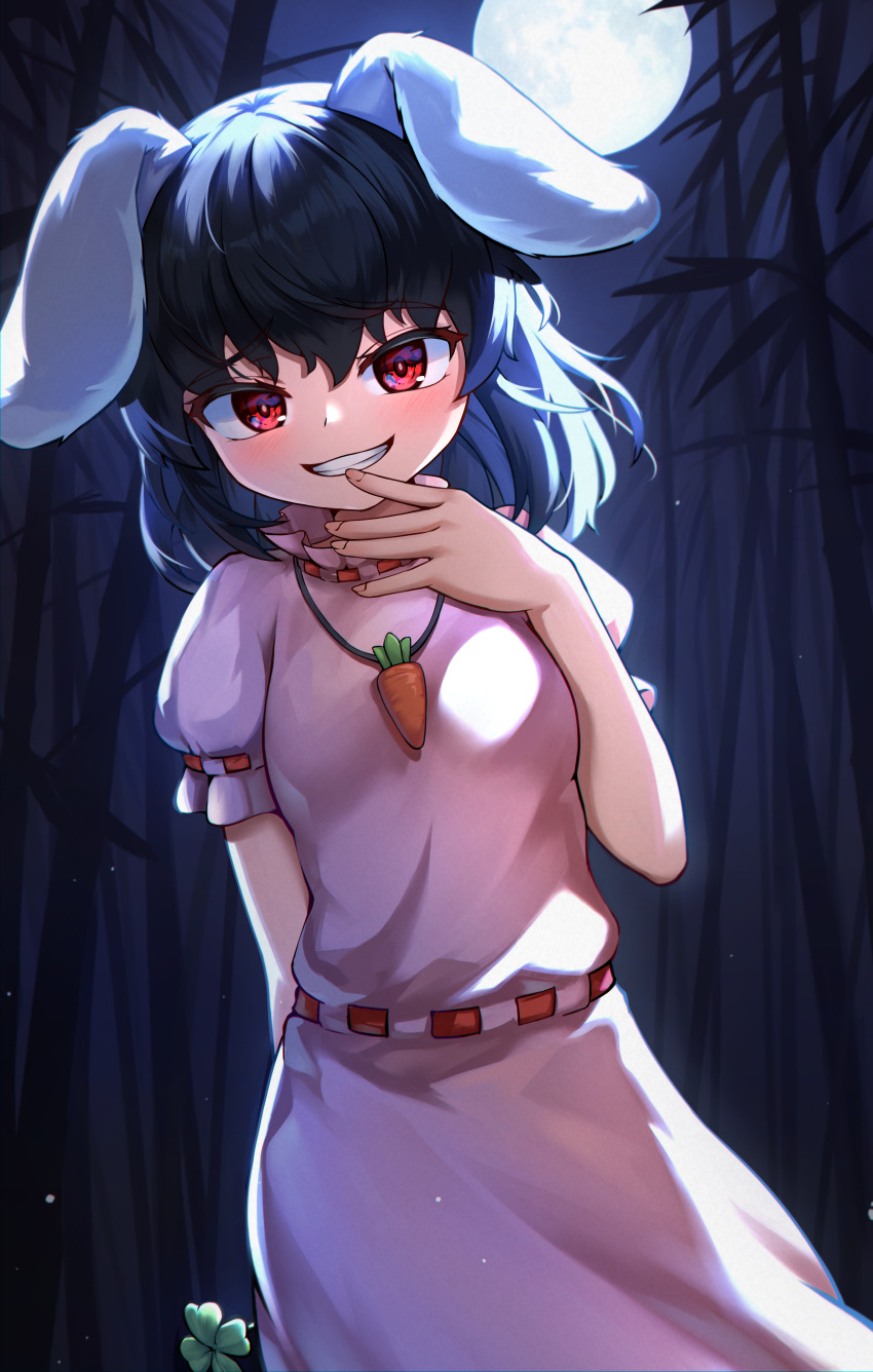Inaba Tewi (Touhou) Rule 34 Image