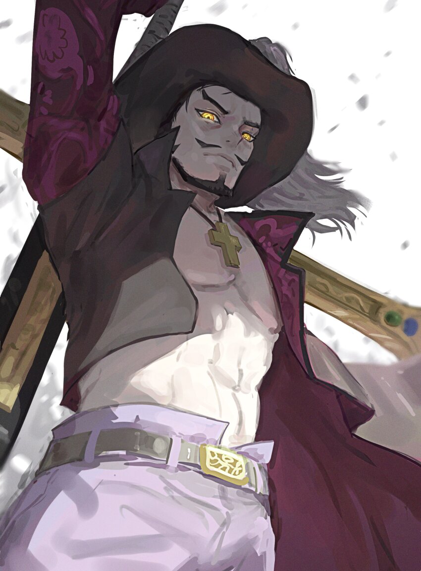 Dracule Mihawk (One Piece) Rule 34 Image