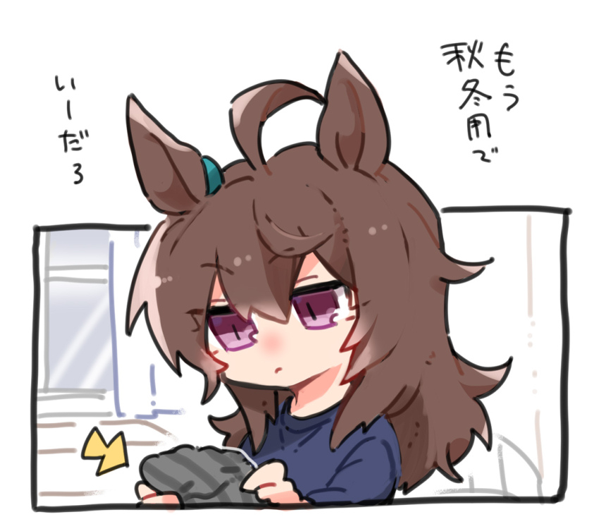 Nakayama Festa (Umamusume) Rule 34 Image