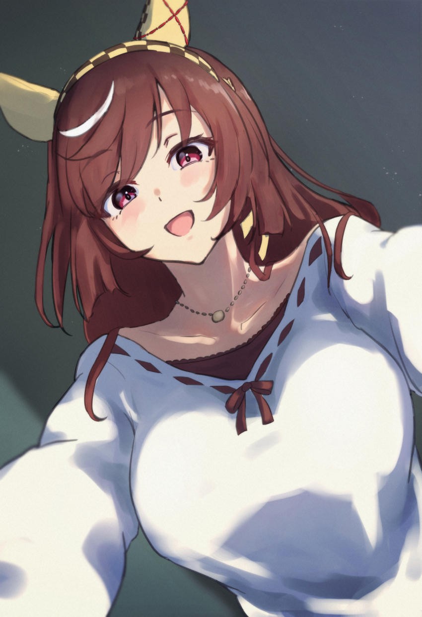 Buena Vista (Umamusume) Rule 34 Image