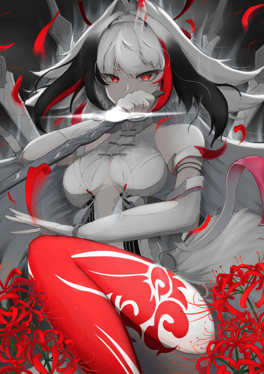 Ye Shunguang (Zenless Zone Zero) Rule 34 Image