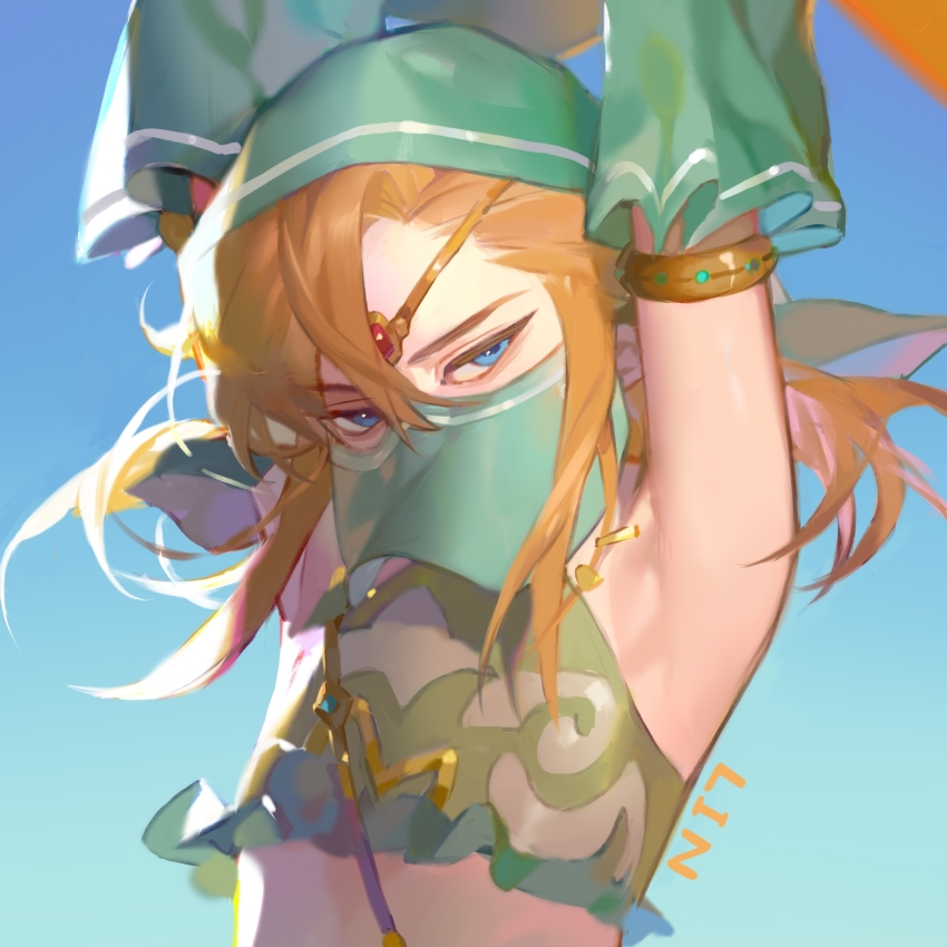 Link (Nintendo) Rule 34 Image