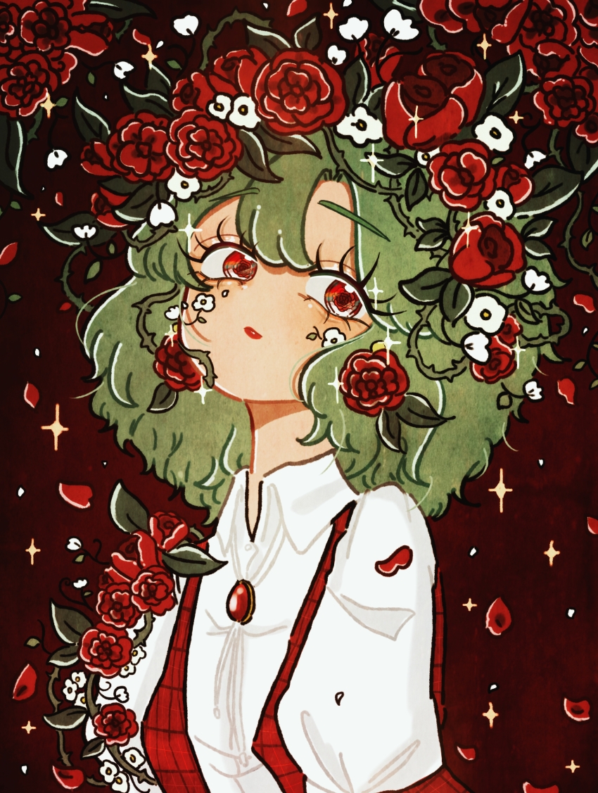 Kazami Yuuka (Touhou) Rule 34 Image