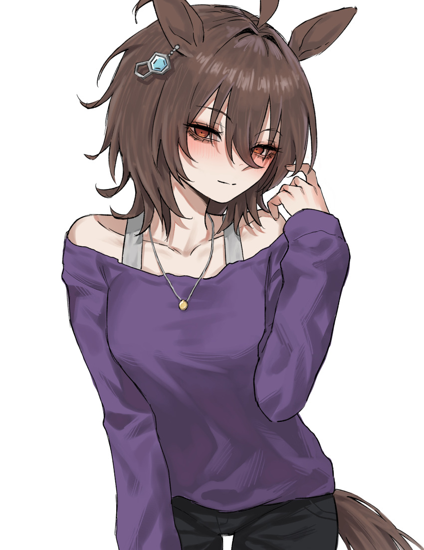 Agnes Tachyon (Umamusume) Rule 34 Image