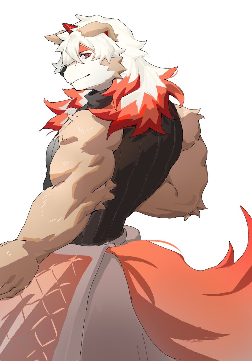 Hung (Arknights) Rule 34 Image
