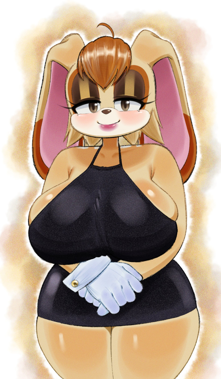 Vanilla The Rabbit (Sega) Rule 34 Image