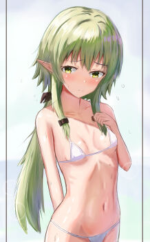 High Elf Archer (Goblin Slayer!) Rule 34 Image
