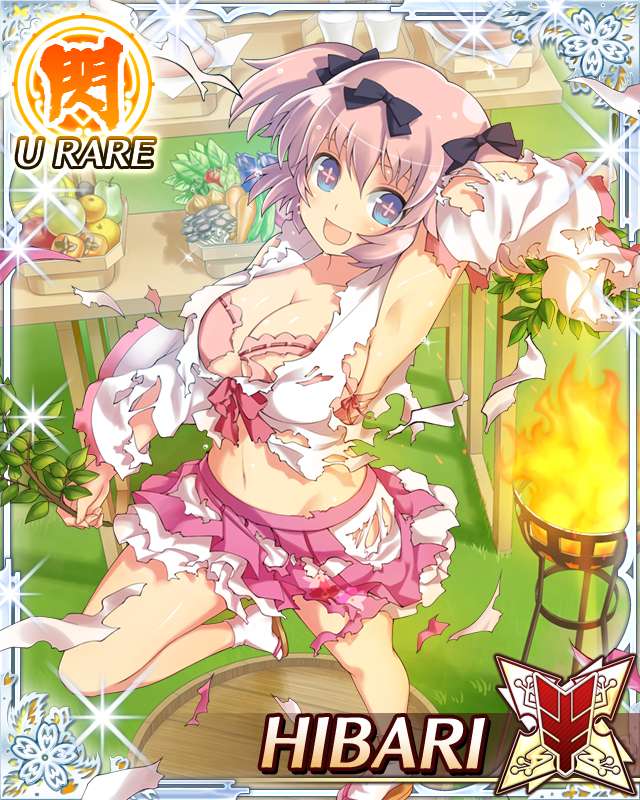 Hibari (Senran Kagura) Rule 34 Image