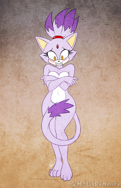 Blaze The Cat (Sonic (Series)) Rule 34 Image