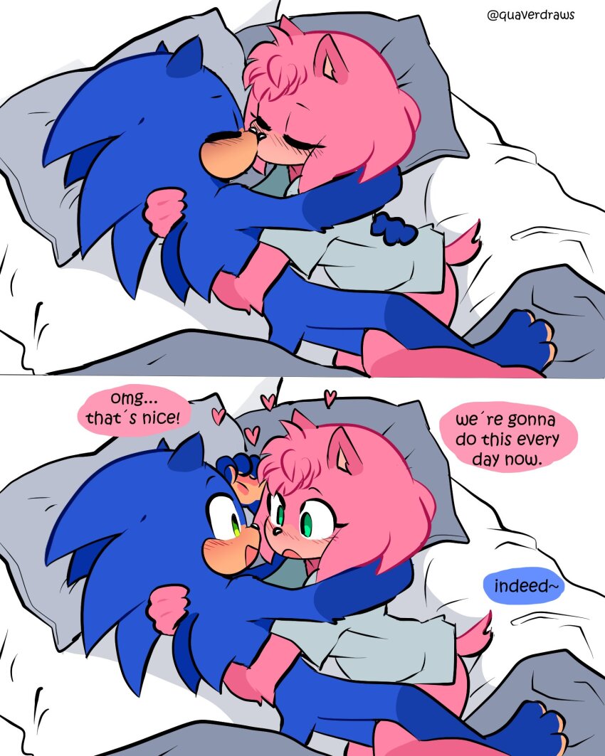 Amy Rose (Sonic (Series)) Rule 34 Image