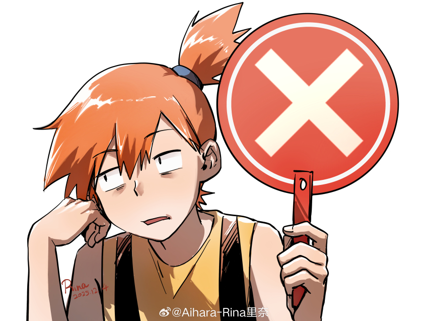 Misty (Pokemon) Rule 34 Image