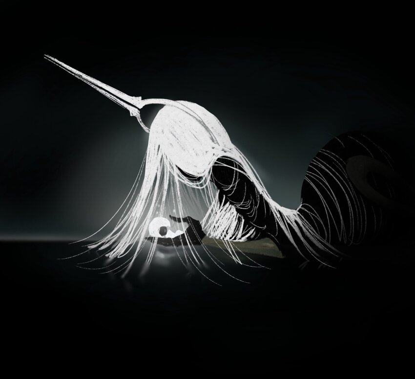 Lace (Hollow Knight) Rule 34 Image