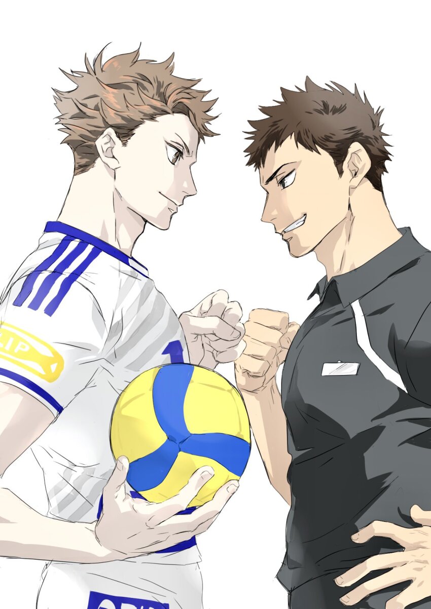 Iwaizumi Hajime (Haikyuu!!) Rule 34 Image