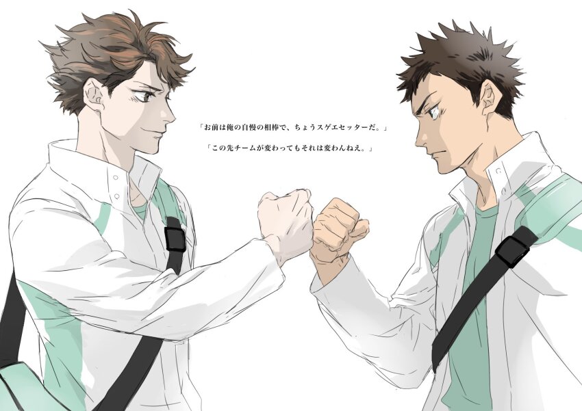 Iwaizumi Hajime (Haikyuu!!) Rule 34 Image
