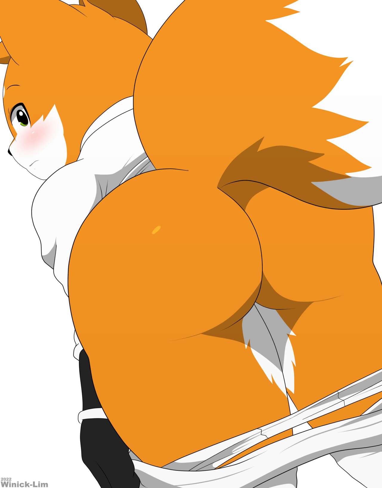 Pokemon (Species) Rule 34 Image