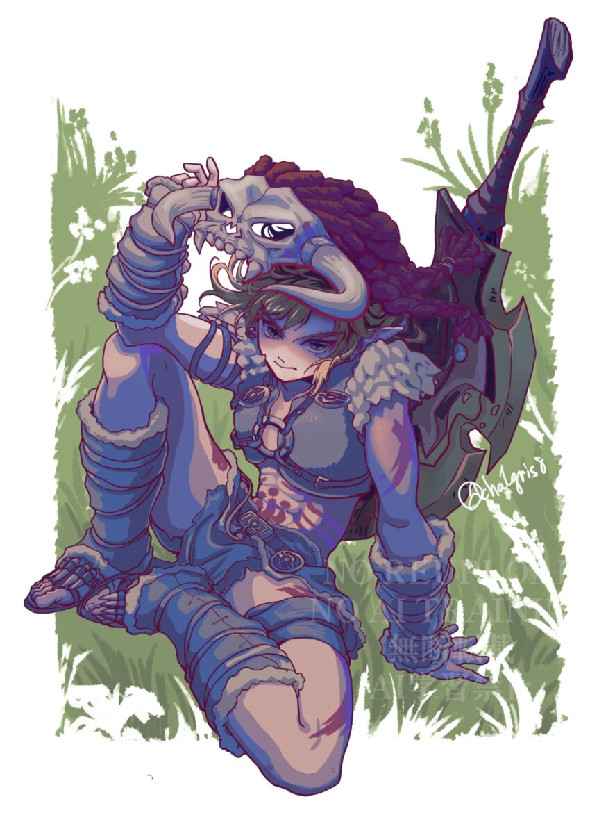 Link (Nintendo) Rule 34 Image