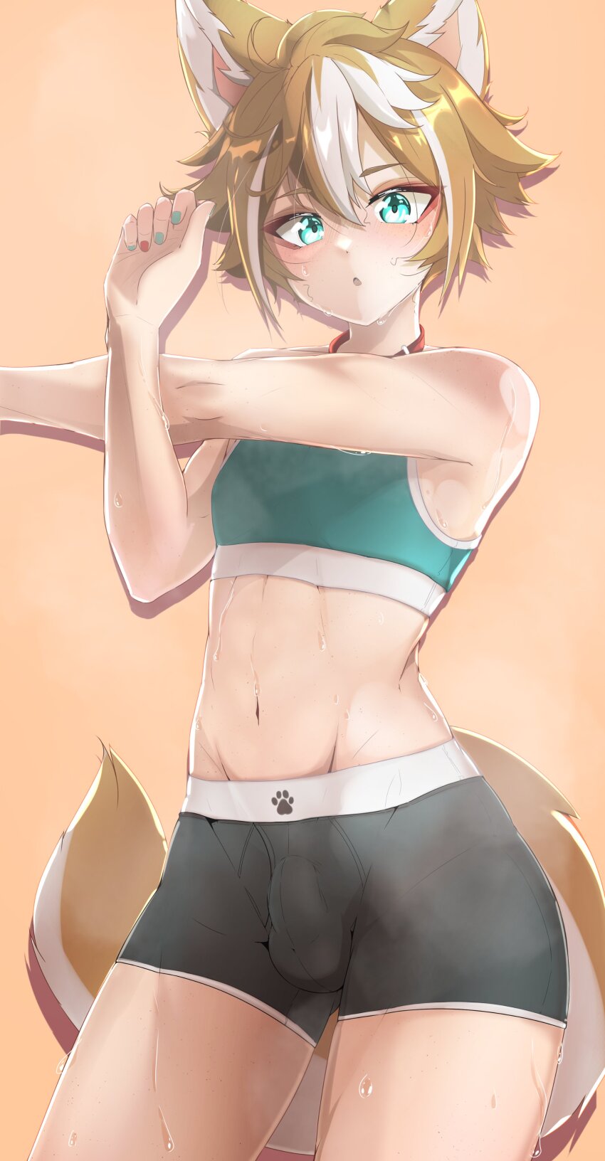 Gorou (Genshin Impact) Rule 34 Image