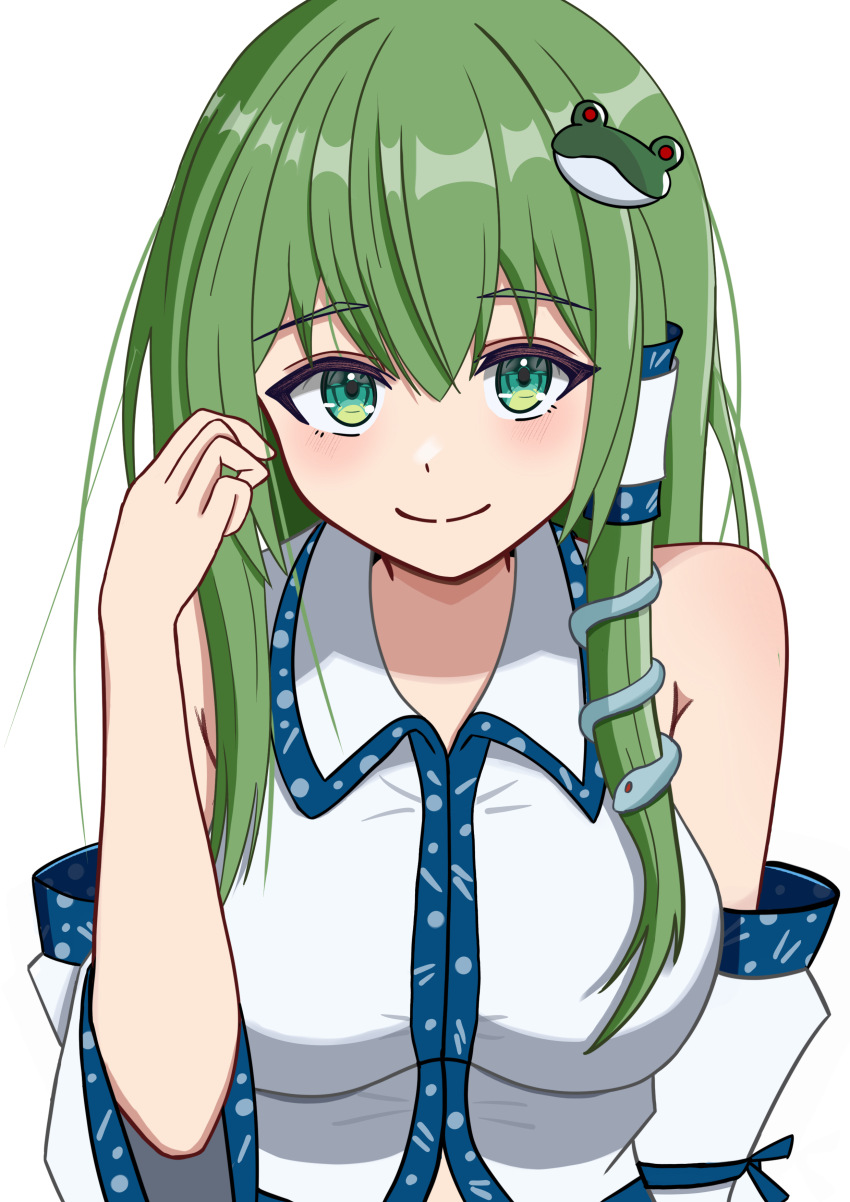Kochiya Sanae (Touhou) Rule 34 Image