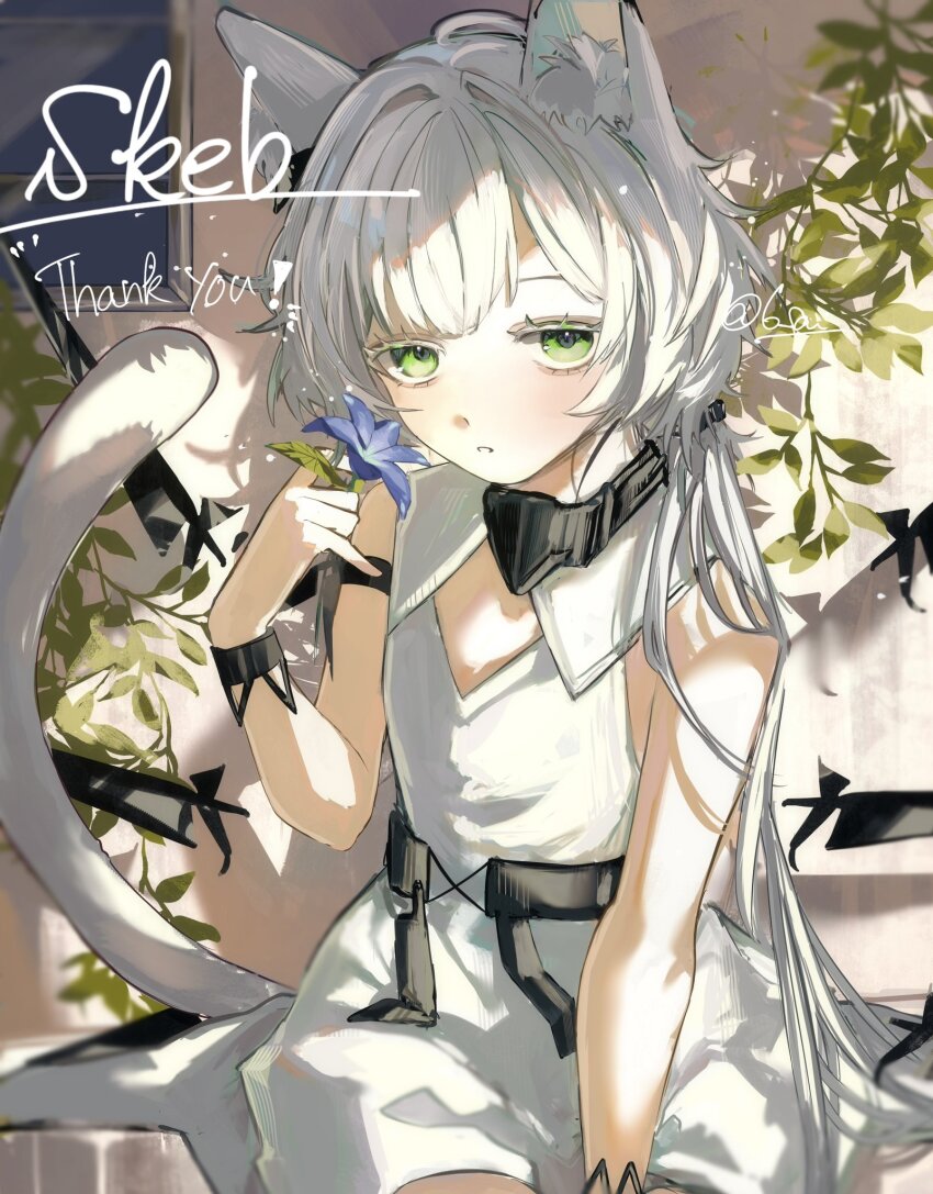 Rosmontis (Arknights) Rule 34 Image