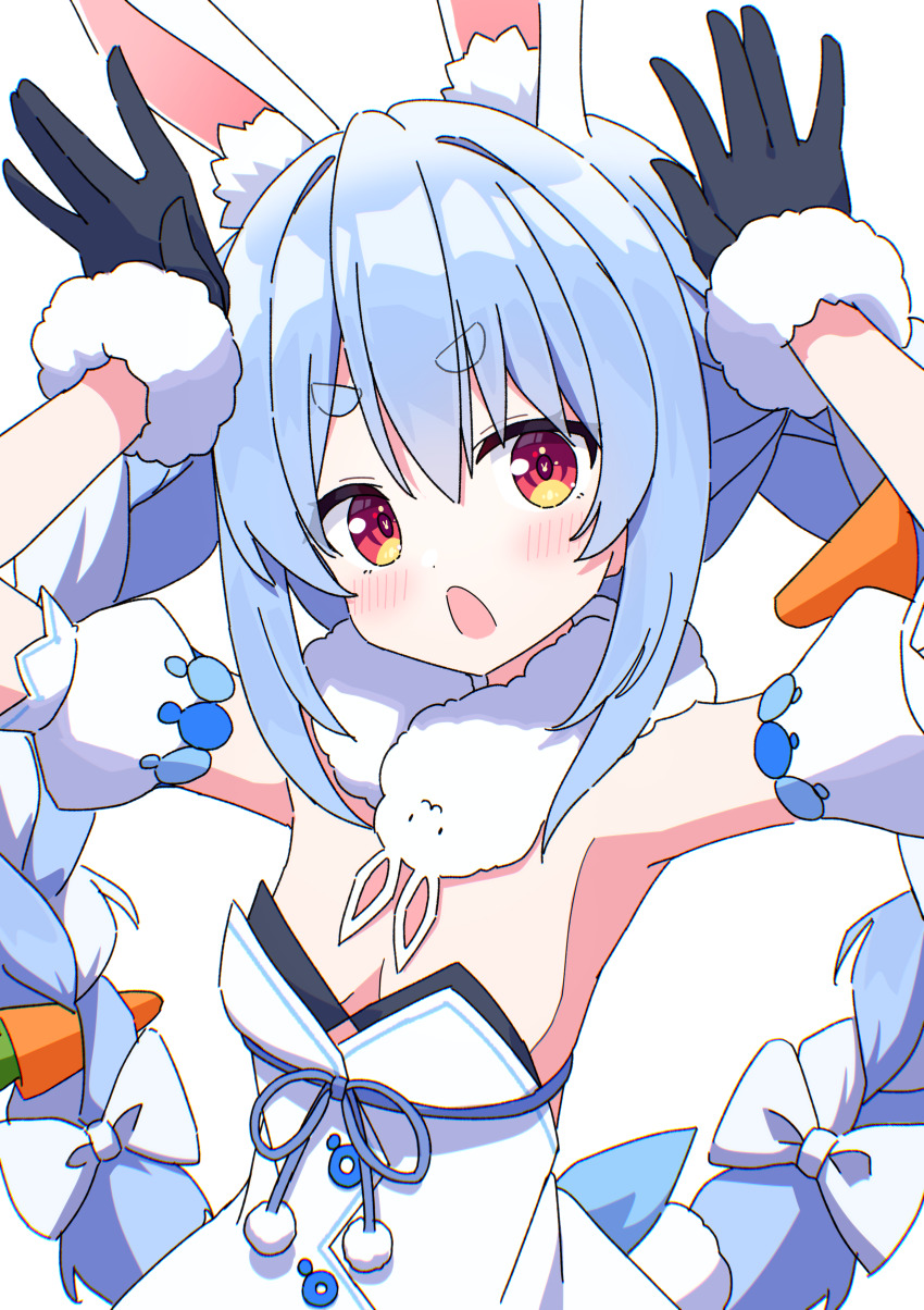 Don-Chan (Usada Pekora) Rule 34 Image